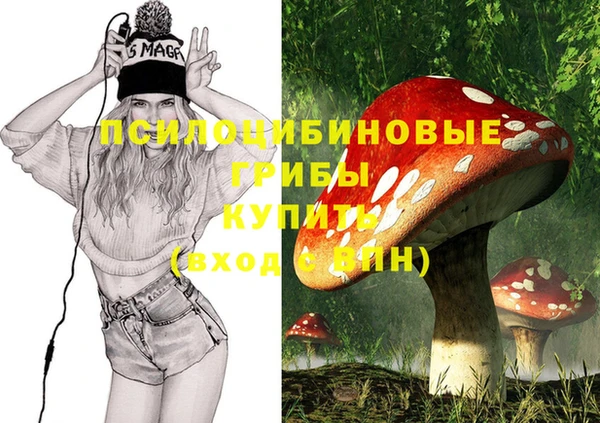 круглые Гусиноозёрск